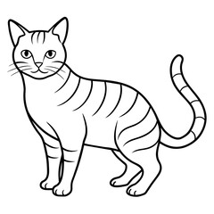 illustration of a cat