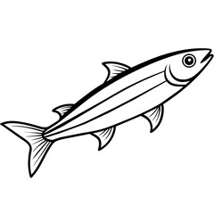 fish illustration