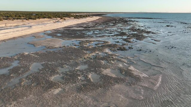 Aerial of Stromatolites in Hamelin Pool, Shark Bay, UNESCO World Heritage Site, Western Australia, Australia, Pacific