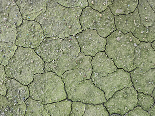 cracked earth texture