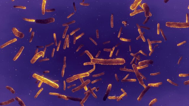 Tuberculosis (TB) a.k.a consumption, a.k.a the "white death" is a pulmonary infectious disease caused by the bacterium Mycobacterium tuberculosis. The disease can be prevented by vaccination with BCG