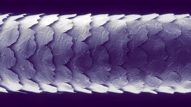 Hair damage animation. Single hair strand transition from Low to High porosity 