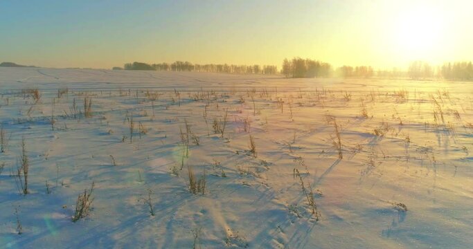 Aerial drone view of cold winter landscape with arctic field, trees covered with frost snow and morning sun rays over horizon. Extreme weather.