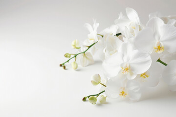 Fototapeta premium Black funeral ribbon and white orchids flowers on white background