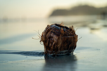 A weathered coconut husk on a tranquil beach at twilight