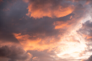 Dramatic stormy sunset sky with cumulus clouds and sun rays in blue-orange tones. Seagulls fly...