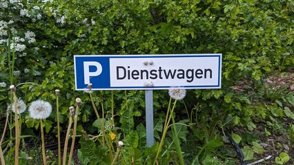 Schild für Dienstwagen parken im Grünen 