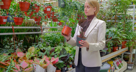Young woman designer choosing plants for her home