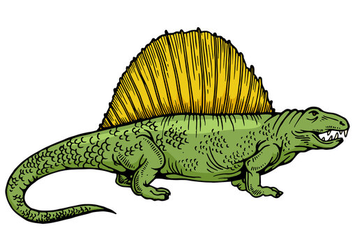 recommend clip art: Dimetrodon dinosaur prehistoric extinct animal color sketch engraving PNG illustration. Scratch board style imitation. Black and white hand drawn image.