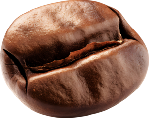 Coffee bean isolated