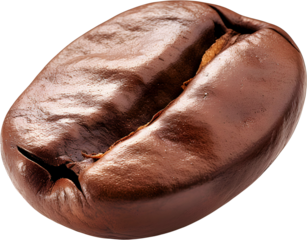 Coffee bean isolated