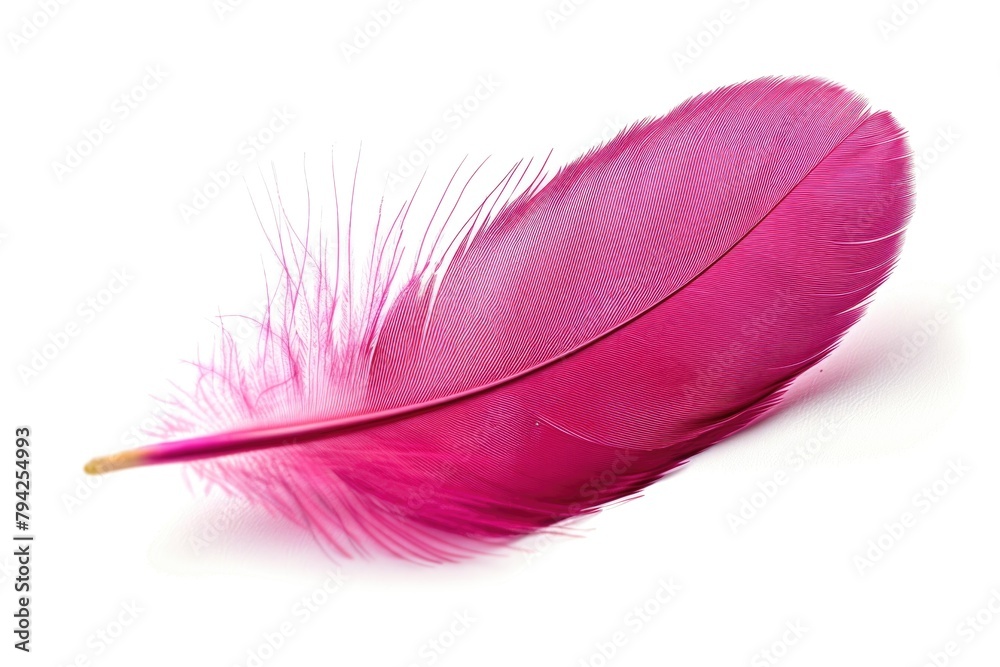 Poster A delicate pink feather isolated on a clean white background. Perfect for adding a soft touch to any design project
