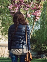 Vertical point of view shot of a woman admiring Sakura tree in bloom against the lush green background of a public park.