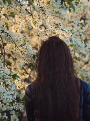 Vertical rear view shot of a woman admiring cherry tree in bloom.