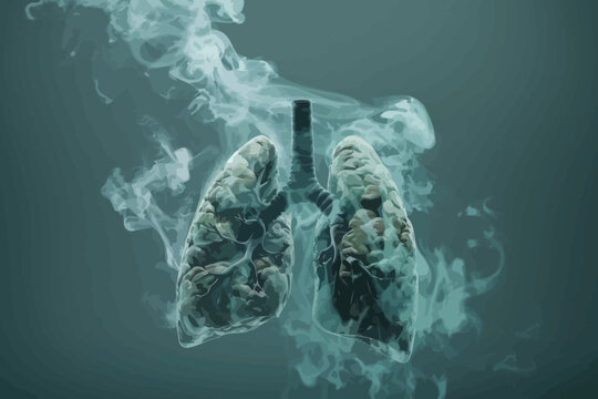 a smoke - filled lung is seen in this image