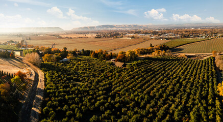 Yakima Valley Orchard View © Jordan