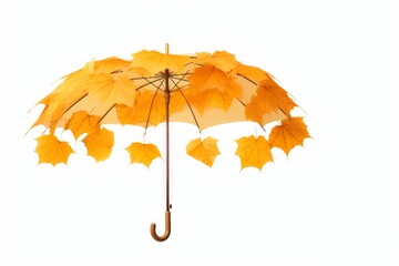 Creative symbolic image of autumn season - maple and rowan leaves in yellow, umbrella on white background.