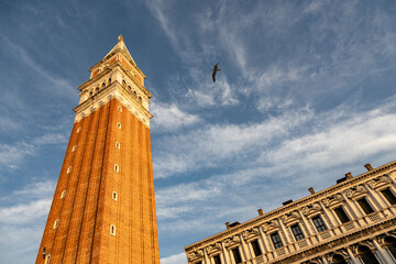 Venice, Italy :  view from below of the iconic bell tower of San Marco at sunset, iconic symbol of...