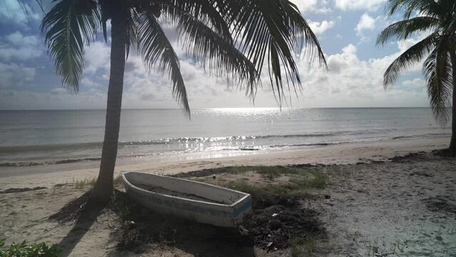 View of palm trees and boat on beach near Puerto Morelos, Caribbean Coast, Yucatan Peninsula, Mexico, North America