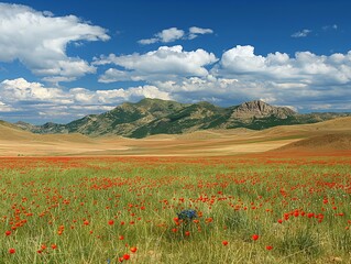 A field of red flowers with a blue flower in the middle. The sky is blue with some clouds