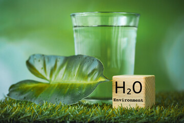 h2o water, Impact of water on the environment and life on earth, environmental science concept, glass of water among greenery, wooden block with h2o symbol