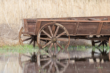 Spring flood.Old wooden cart in the water.