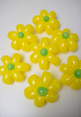 yellow daisies from balloons on a white background