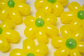 yellow daisies from balloons on a white background