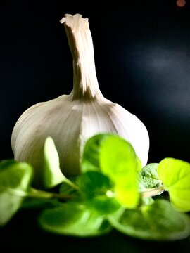 garlic and basil on black background