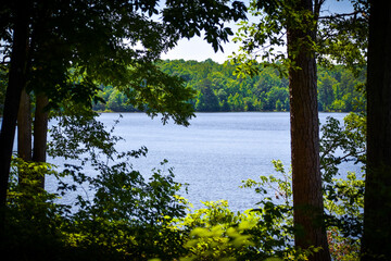 Falls Lake Shoreline on Sunny Day
