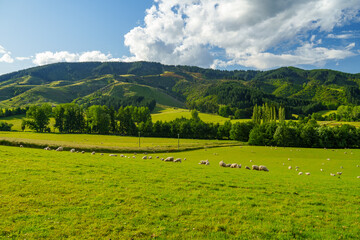 landscape with mountains