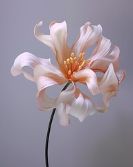 Interior photo with a flower. Pastel colors. A blurry photo of a swirling white flower with a long stem, white background, creamy tones, simple shape.