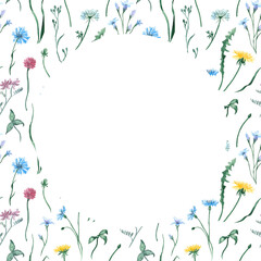 Watercolor frame with wildflowers. Botanical background. Floral ornament. Dandelion, cornflowers, anise flower, clover and herbs. Copy space, Birthday greetings, Invitation, Romantic postcard
