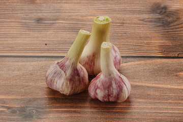 Young garlic heap for cooking