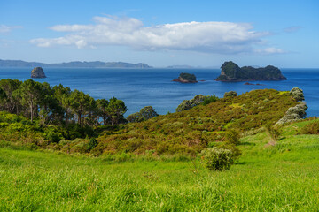 view of the coast of the sea