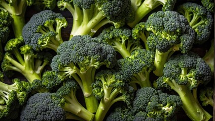broccoli background
