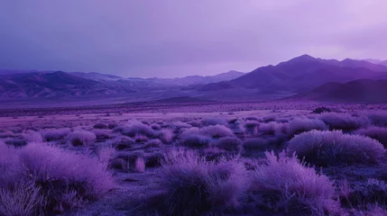 Rolgordijnen Purple twilight over a mountainous desert landscape © NK