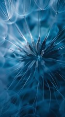 Close-up view of a blue dandelion seed head
