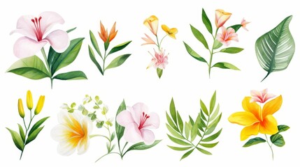Watercolor illustration of tropical spring flowers and lush green leaves, isolated on a crisp white background, water color, drawing style, isolated clear background