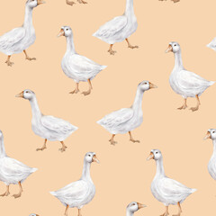Watercolor seamless pattern with goose bird. Repeat pattern pastel color. Tender watercolor hand drawn illustration on a isolated on background. Domestic white and gray watercolor cute farm bird.
