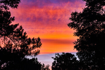 Dramatic Summer Sunset Overhead
