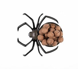 halloween plate in the shape of a spider with nuts