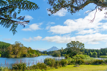 Small park under mountain Egmont 