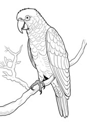 Parrot Coloring Page, Parrot Line Art coloring page, Parrot Outline Illustration For Coloring Page, Bird Coloring Page, Parrot Coloring Pages and Book, AI Generative