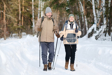 Long shot of modern senior Caucasian man and woman hiking along forest with use of trekking poles on winter day, copy space