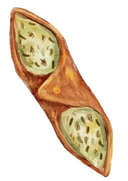 Cannoli Dessert.  Cannoli italian pastry dessert with different fillings. Watercolor illustration.
