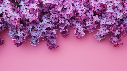 Fototapeta premium lilac flowers background.