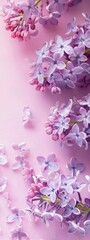 lilac flowers background.