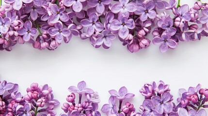 Fototapeta premium lilac flowers background.