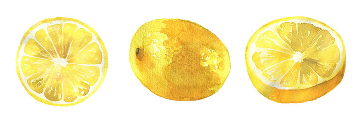 Slice of lemon illustration. Watercolor lemon clipart isolated on a white background.